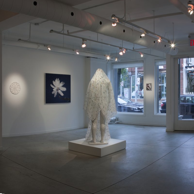 Nervous System Preserver, Feather Feeder, Lichen, Shellfish Cells